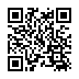 image-style3